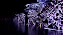 Projectors on the walls of Genesis House New York of purple orchids, from the exhibition Bloomtanica, made in collaboration with Blackspace GmbH and Jeff Leatham.